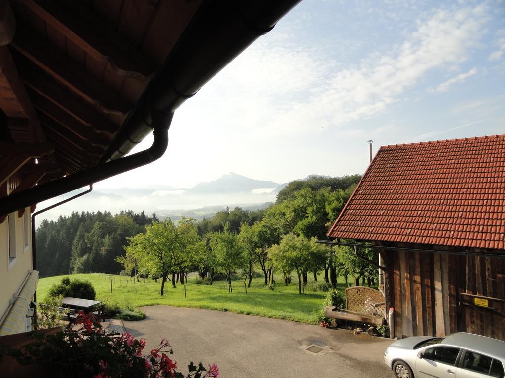 Hochsernerhof Hotel Tiefgraben Værelse billede