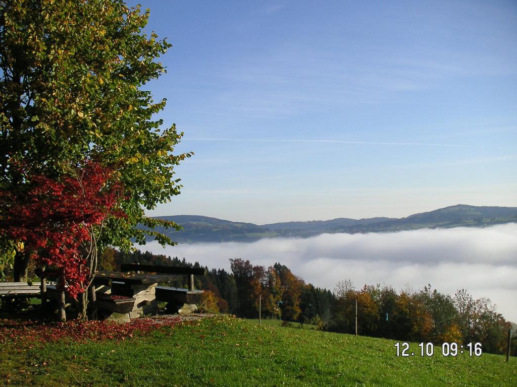 Hochsernerhof Hotel Tiefgraben Eksteriør billede